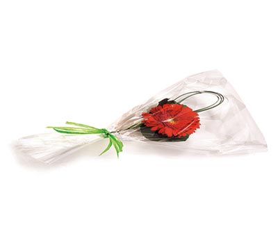 Clear Flat Cellophane Bags