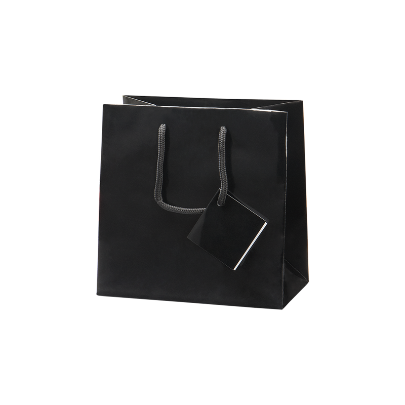 Euro Tote Glossy Paper Bags