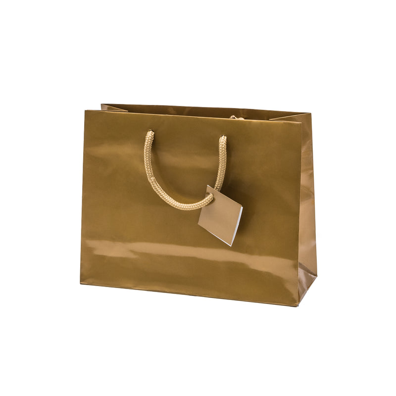 Euro Tote Glossy Paper Bags