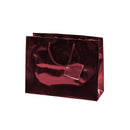 Euro Tote Glossy Paper Bags