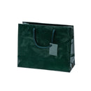 Euro Tote Glossy Paper Bags