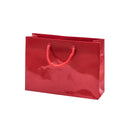 Euro Tote Glossy Paper Bags