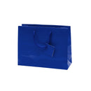 Euro Tote Glossy Paper Bags