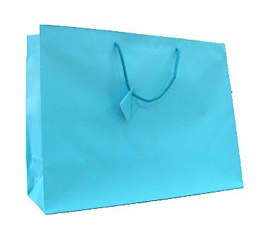 Euro Tote Matte Paper Bag