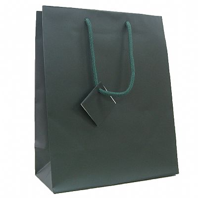 Euro Tote Matte Paper Bag