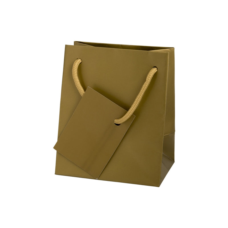 Euro Tote Matte Paper Bag