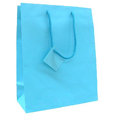 Euro Tote Matte Paper Bag