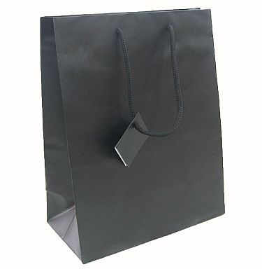 Euro Tote Matte Paper Bag