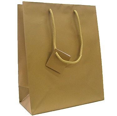 Euro Tote Matte Paper Bag