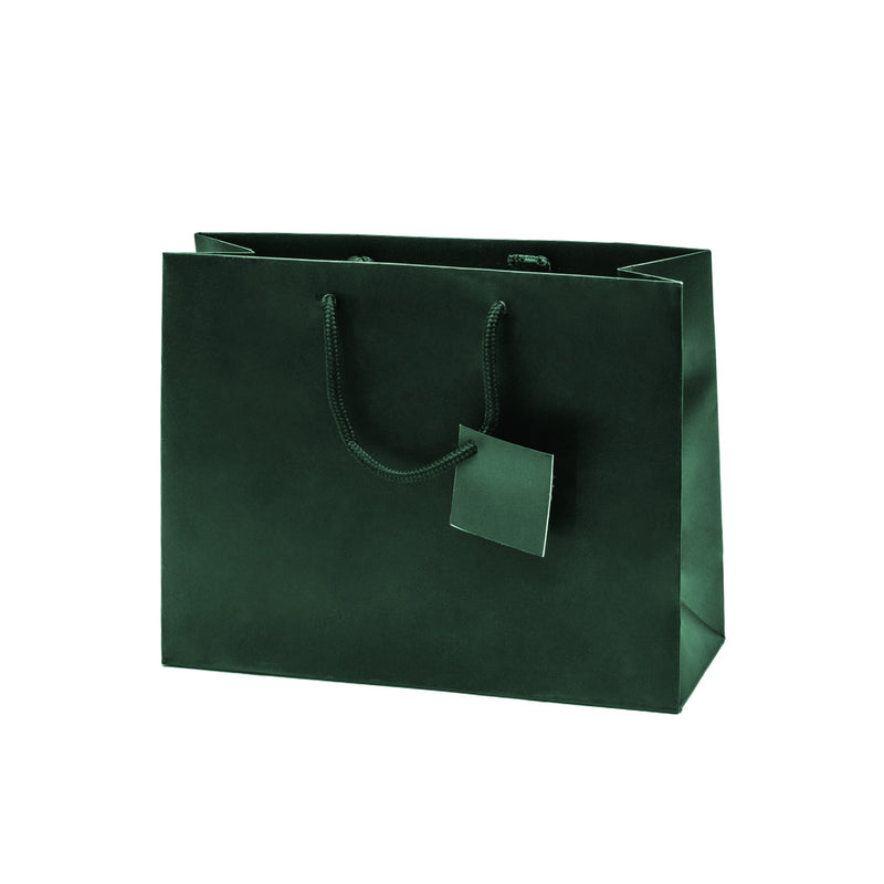 Euro Tote Matte Paper Bag