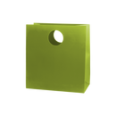 Mod Bag with Die Cut Handles