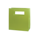 Mod Bag with Die Cut Handles