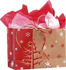 Fashion Noble Design Printed Paper Bag