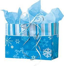 Fashion Noble Design Printed Paper Bag