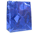Euro Tote Hologram Paper Bag